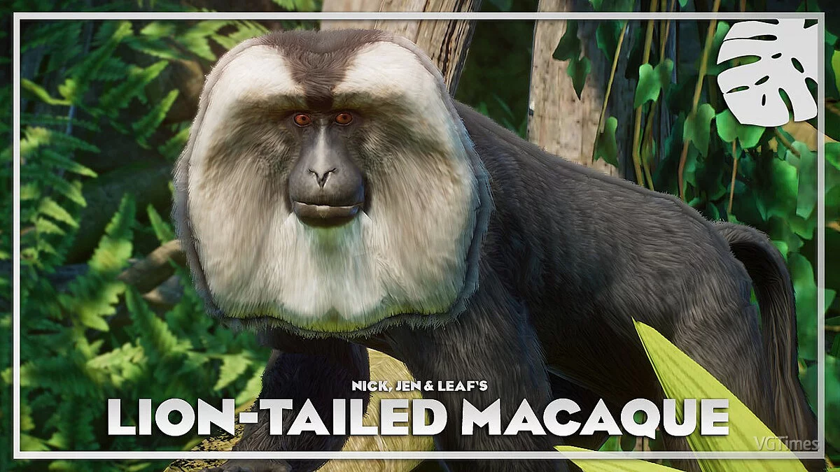 Planet Zoo — Lion-tailed macaque - new species