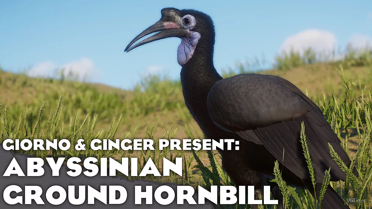 Planet Zoo — Abyssinian ground hornbill - a new species