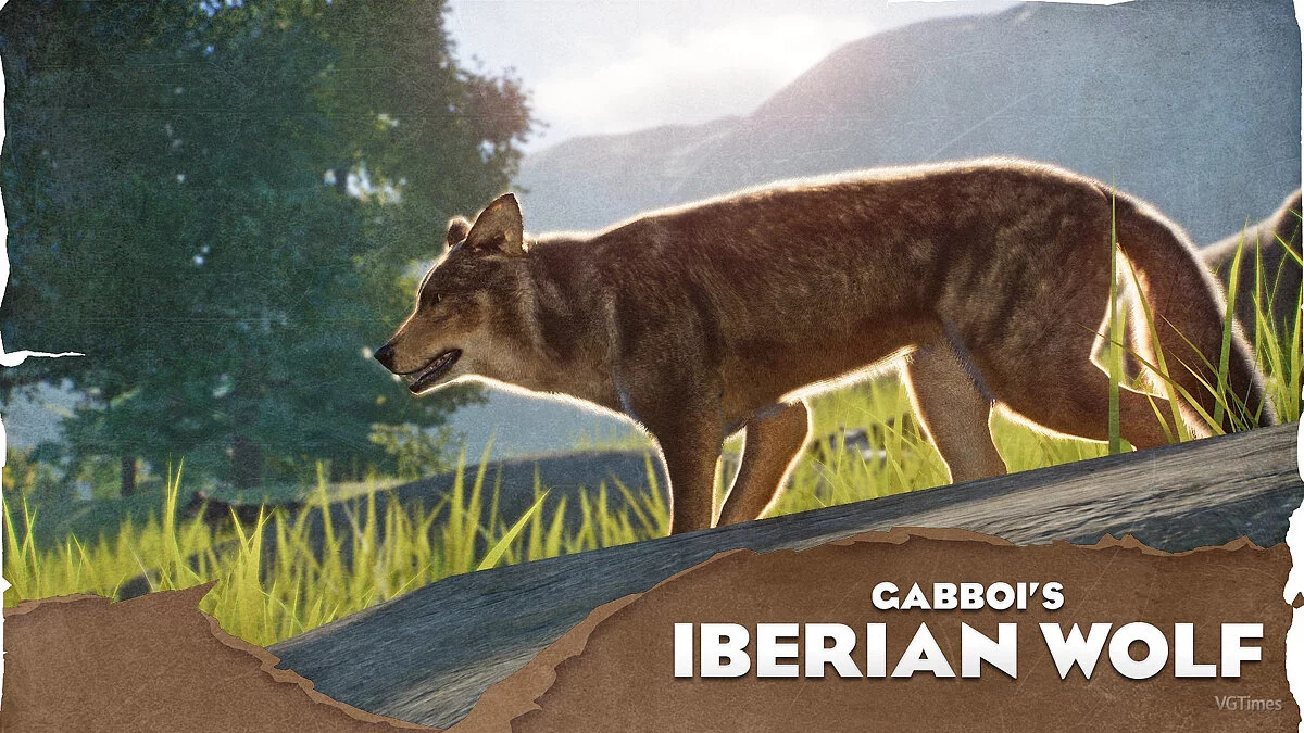 Planet Zoo — Iberian wolf - new species