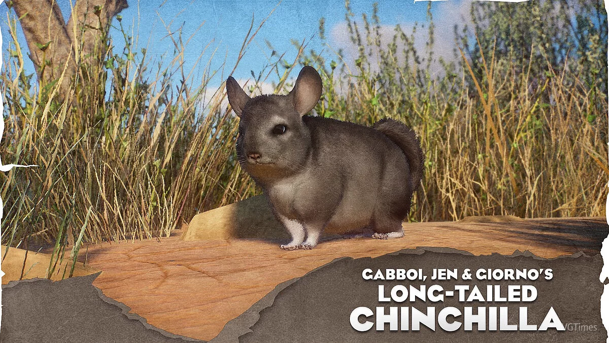 Planet Zoo — Long-tailed chinchilla - a new species