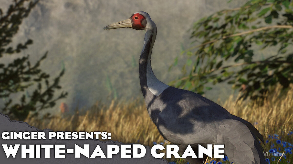 Planet Zoo — White-naped crane - new species