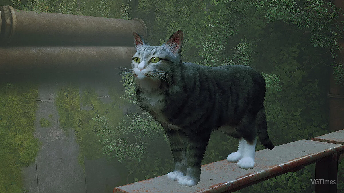 Stray — Люцифер