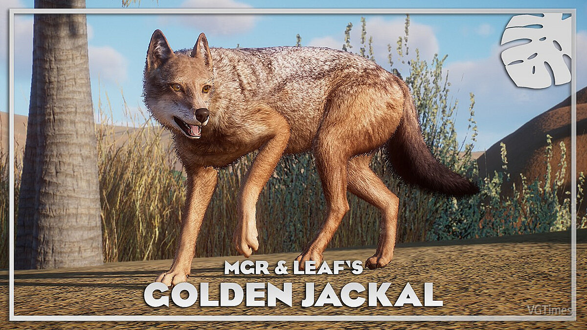 Planet Zoo — Golden jackal - new species