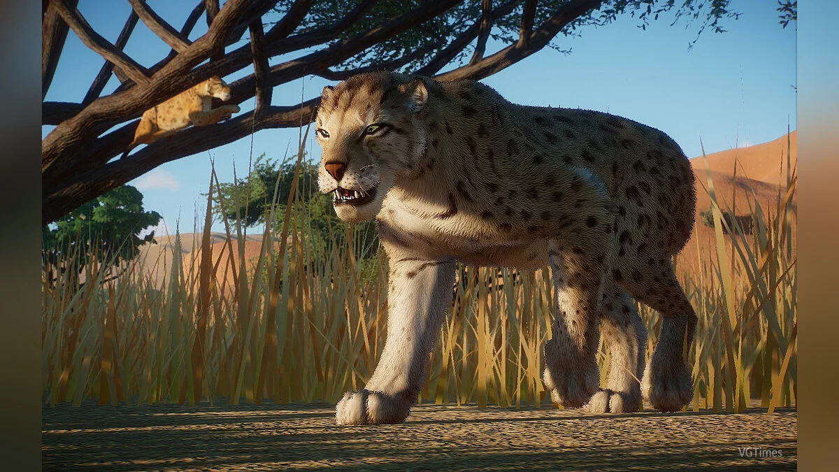 Planet Zoo — Великий африканський саблезуб