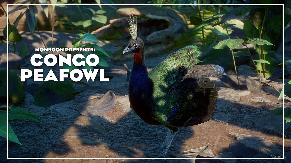 Planet Zoo — Nueva especie: pavo real del Congo