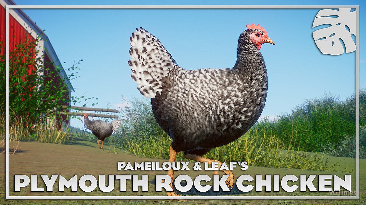 Planet Zoo — Domestic chicken - new species