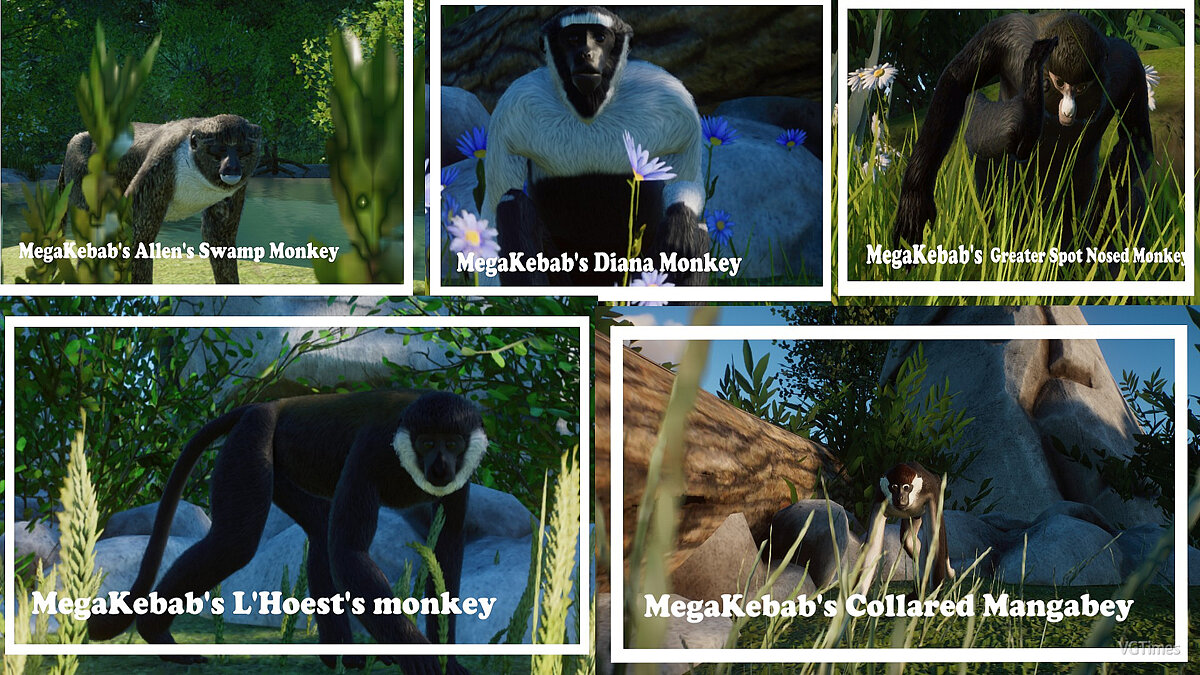 Planet Zoo — Old World Primates Set