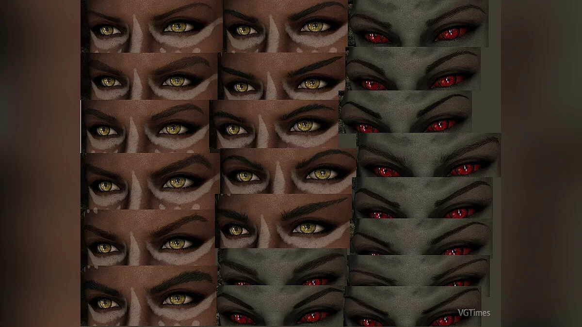 Elder Scrolls 5: Skyrim Special Edition — Истинные брови