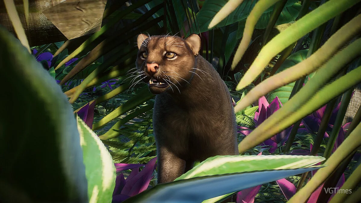 Planet Zoo — Ягуар - нові види