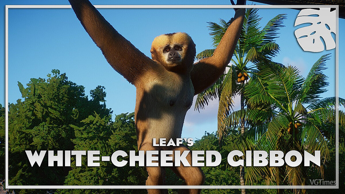 Planet Zoo — Northern barnacle gibbon - new species