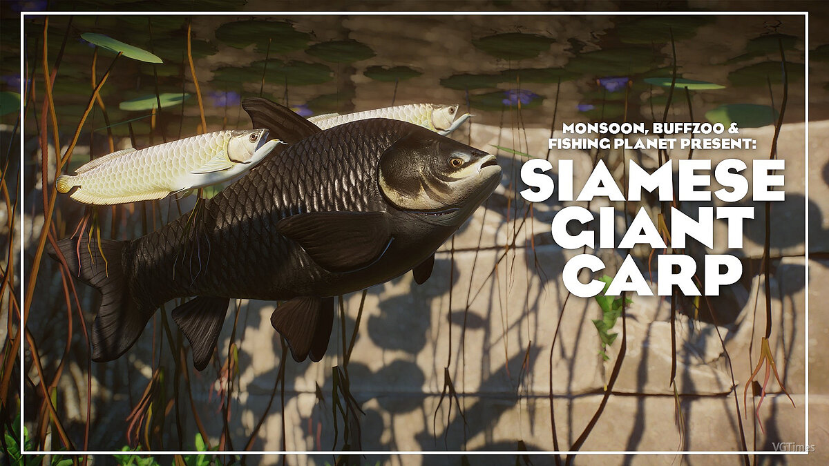 Planet Zoo — Siamese giant carp - new species