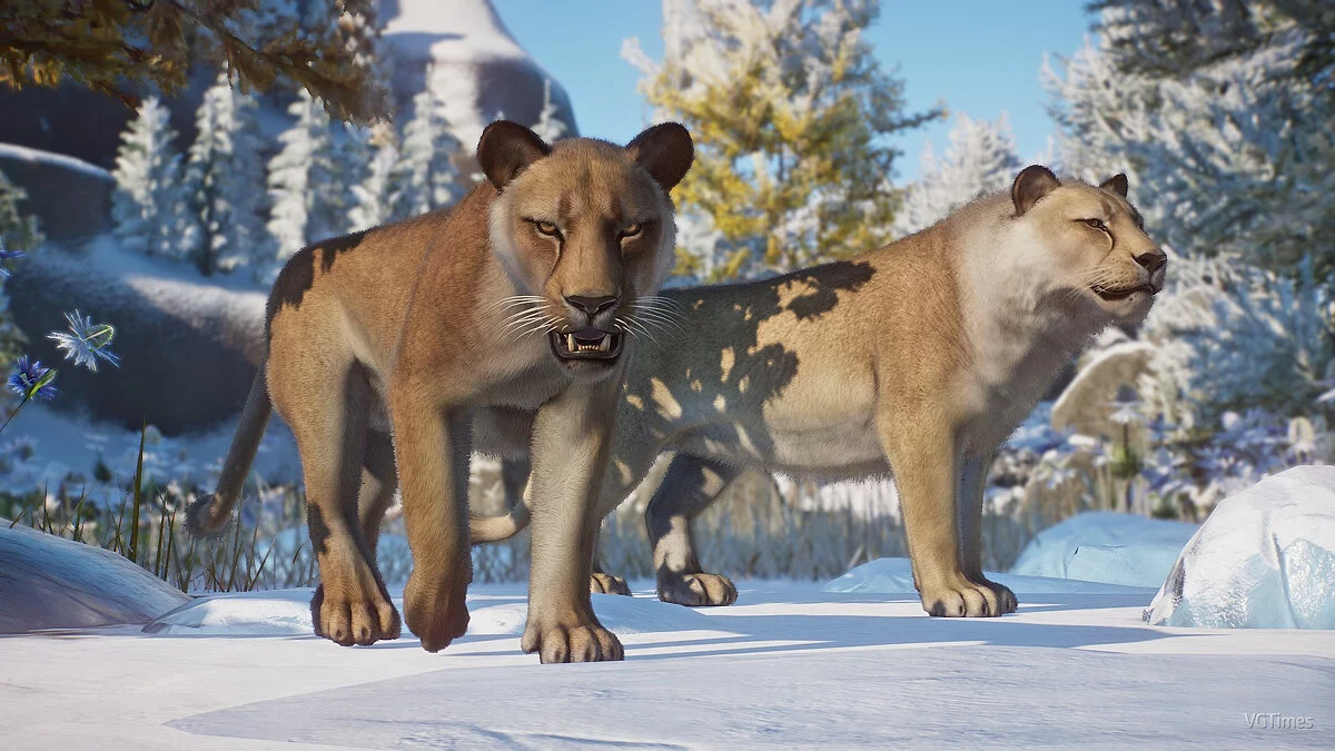 Planet Zoo — Степной лев (пещерный лев) - новые виды