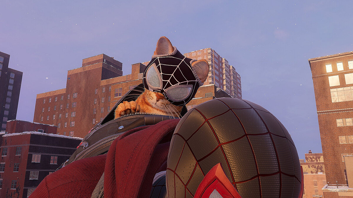 Marvel&#039;s Spider-Man: Miles Morales — Black mask for a cat