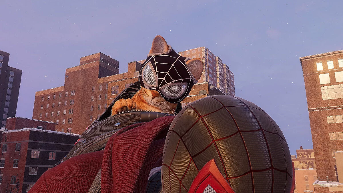 Marvel&#039;s Spider-Man: Miles Morales — Black mask for a cat