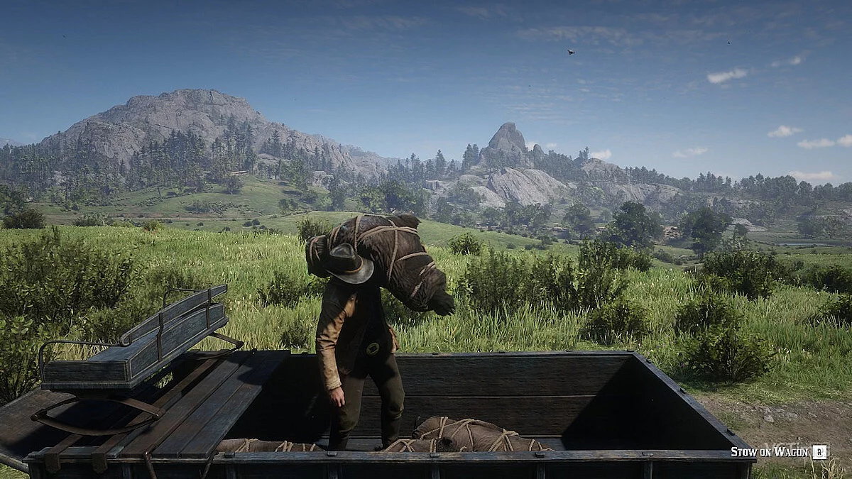 Red Dead Redemption 2 — Повозка охотника