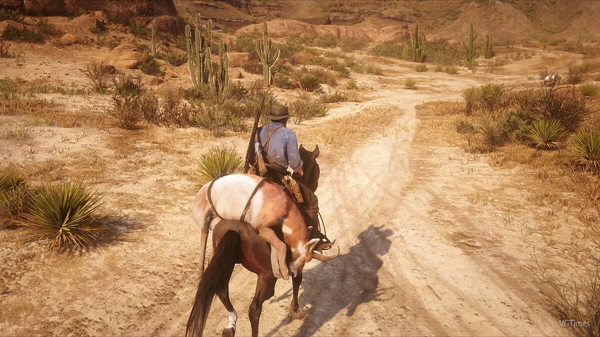 Red Dead Redemption 2 — Призов коня з будь-якої точки