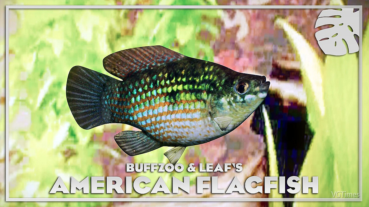 Planet Zoo — American flagfish - new species