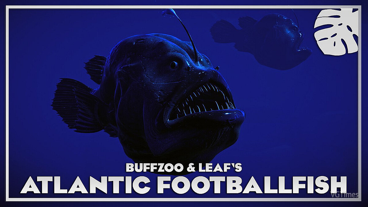 Planet Zoo — Atlantic football fish - new species