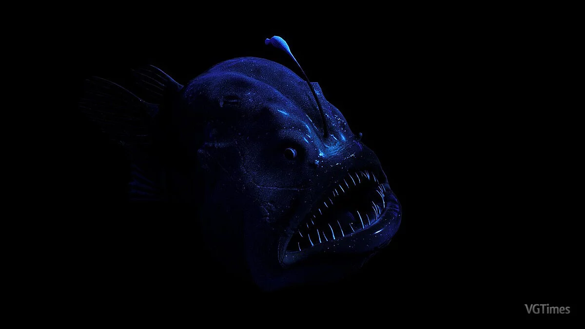 Planet Zoo — Атлантическая футбольная рыба - новые виды