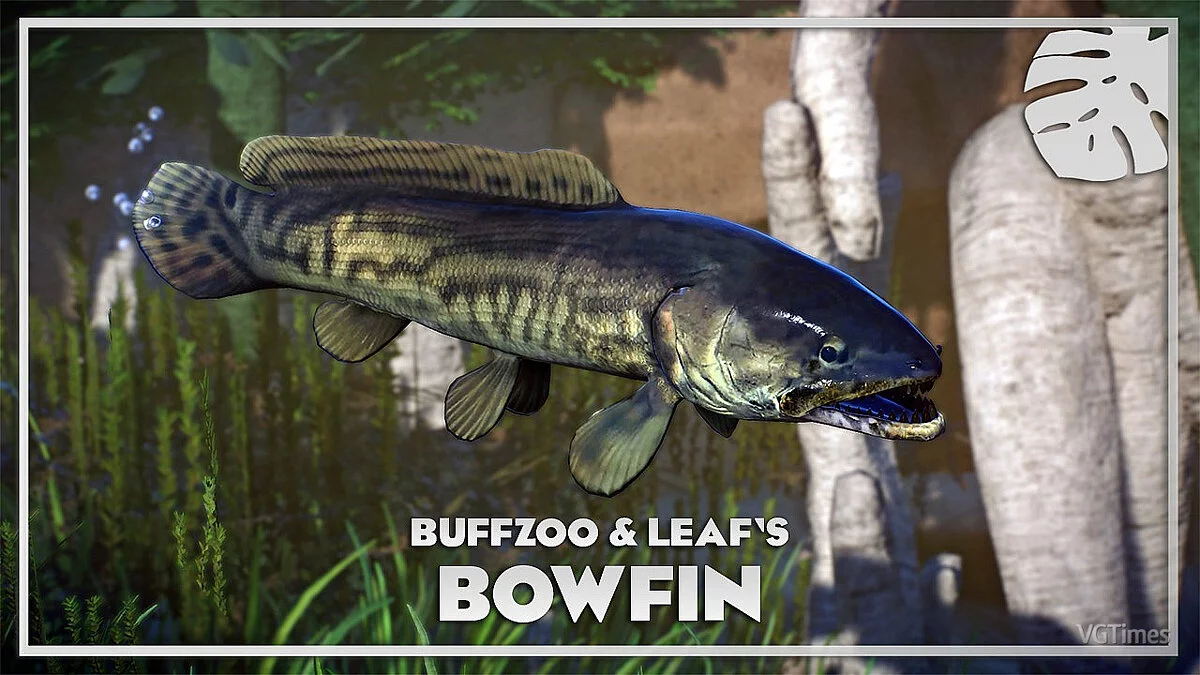 Planet Zoo — Bowfin - nueva especie