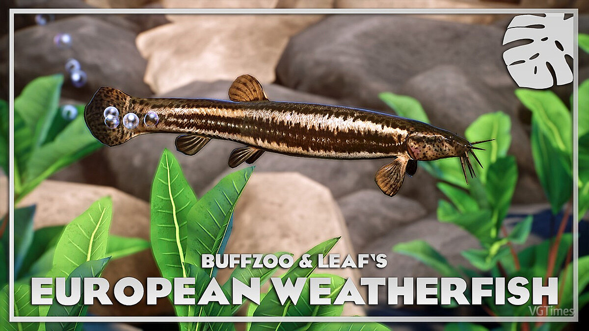 Planet Zoo — European weather fish - new species