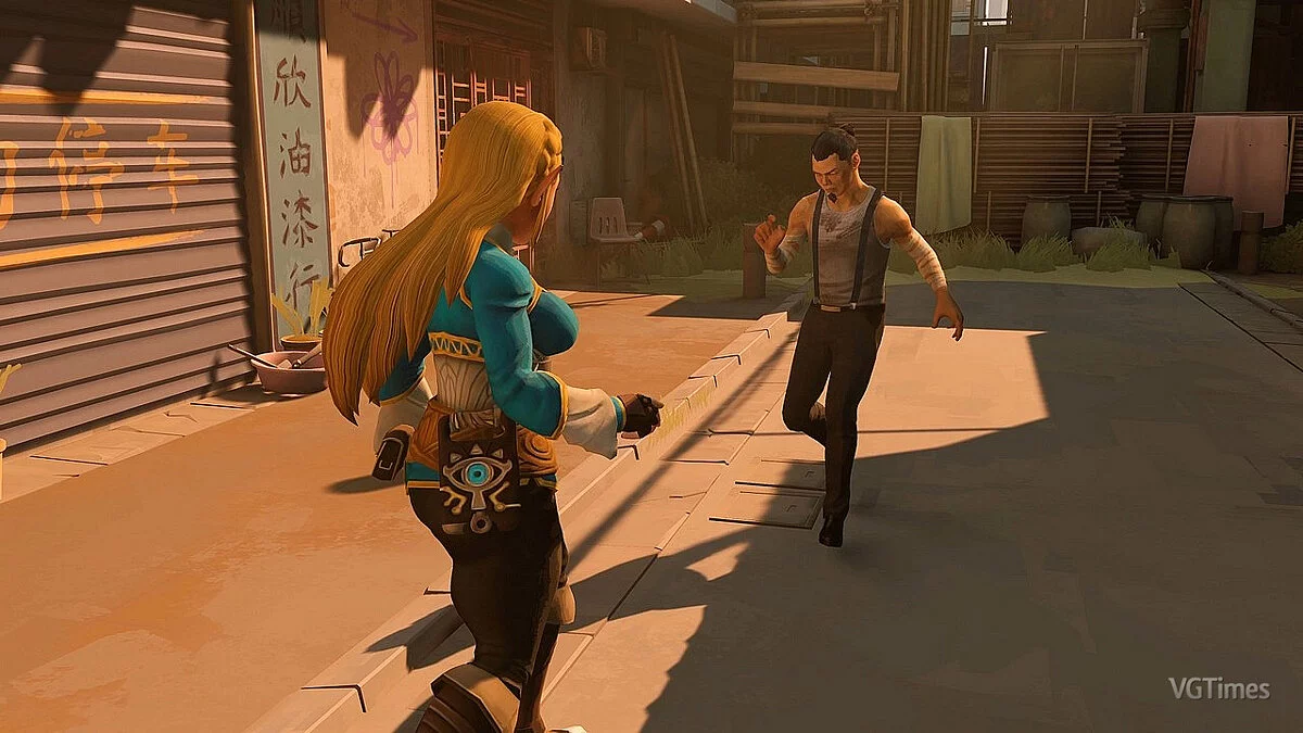 Sifu — Зельда з гри The Legend of Zelda