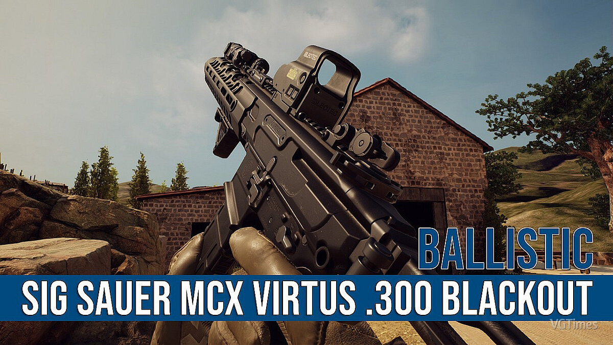 Ready or Not — Rifle 300BLK SIG MCX Virtus