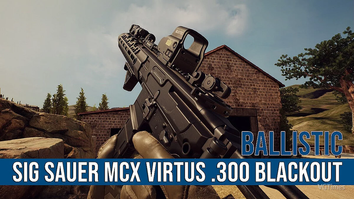 Ready or Not — Rifle 300BLK SIG MCX Virtus