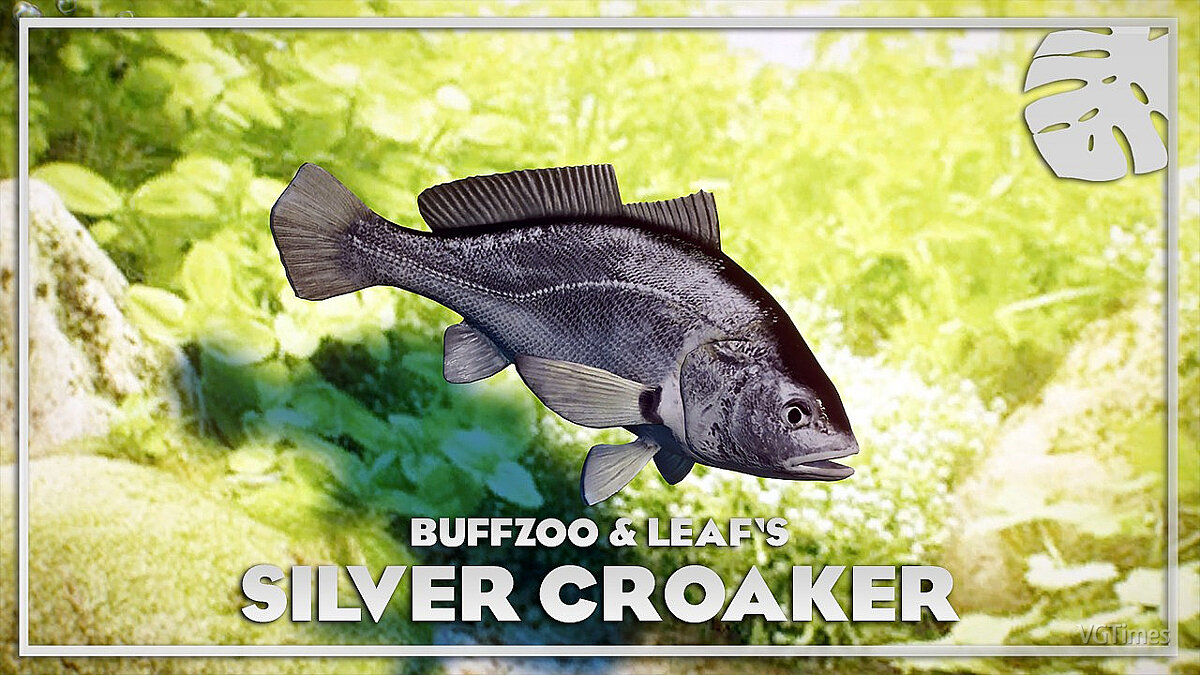 Planet Zoo — South American silver croaker - new species