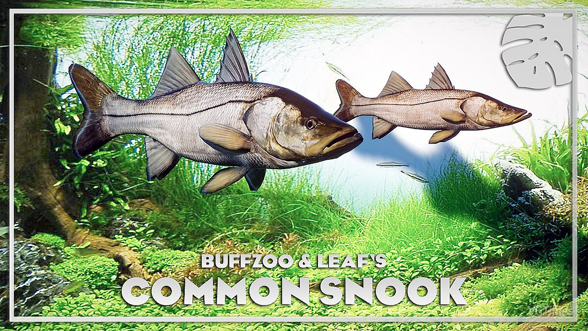 Planet Zoo — Common snook - new species