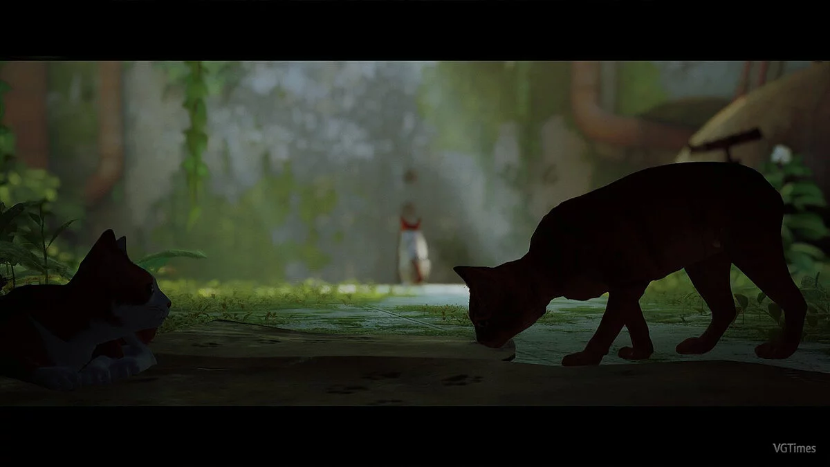 Stray — Безхвостий кіт