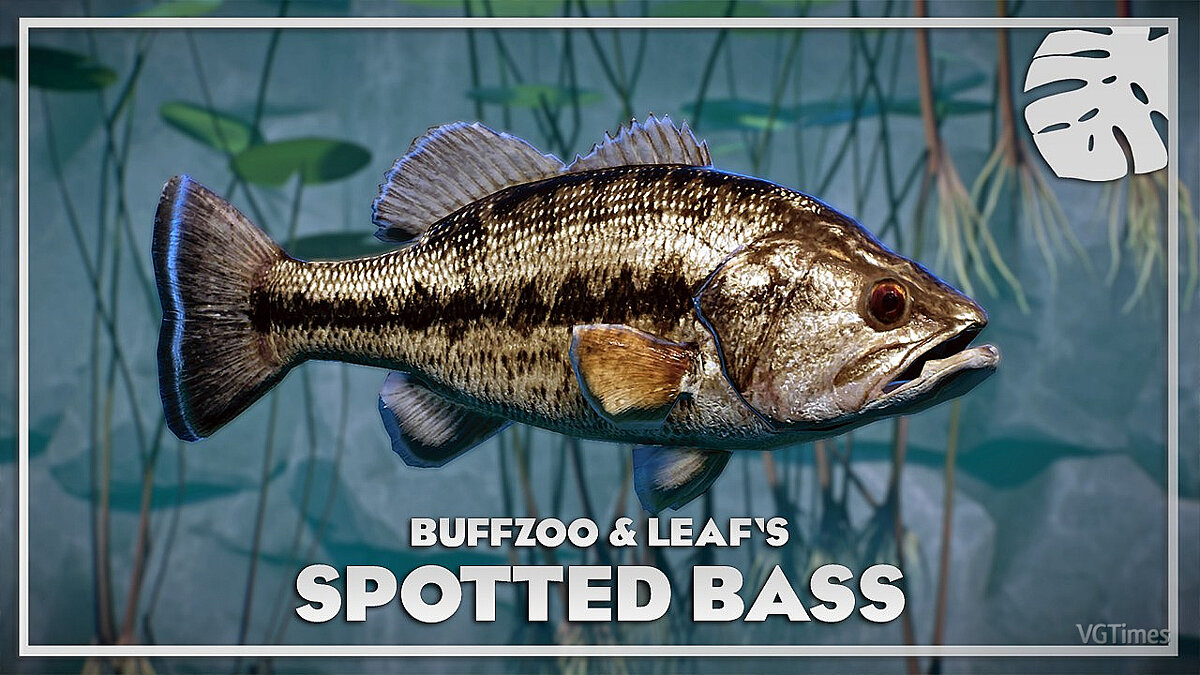 Planet Zoo — Spotted Bass - New Species