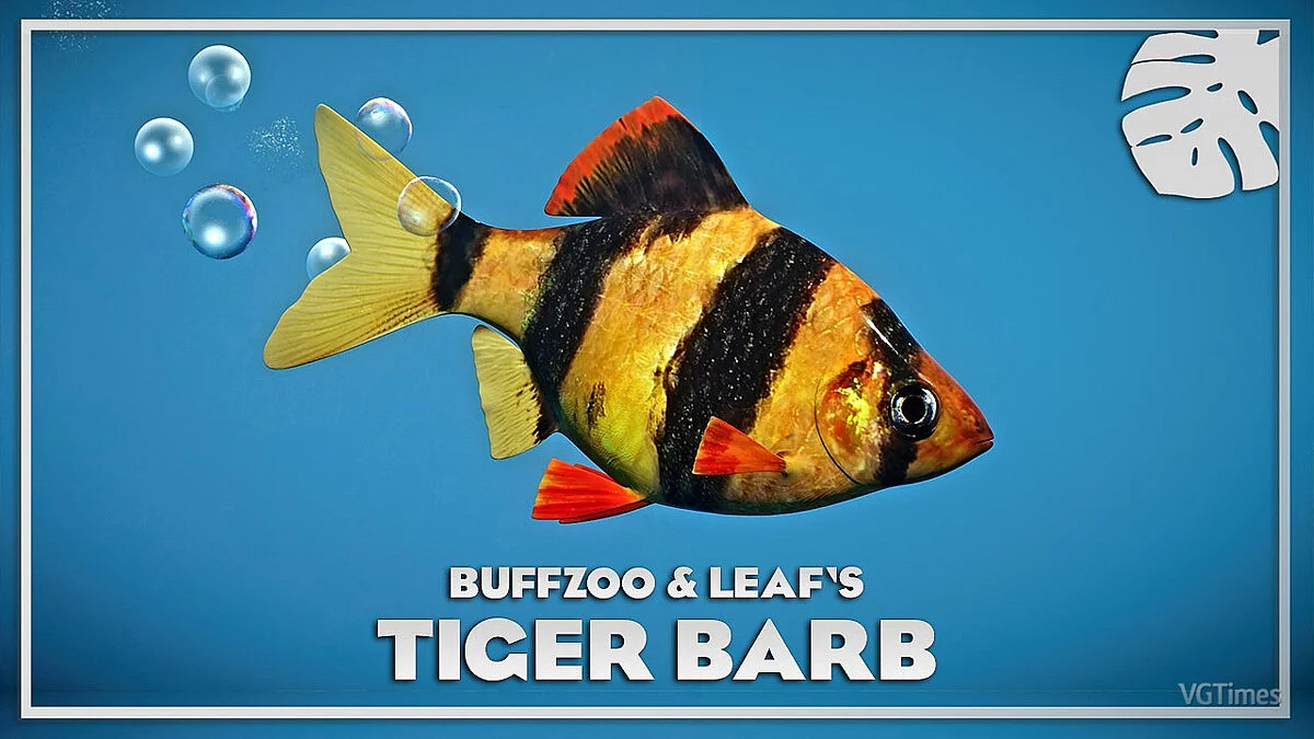 Planet Zoo — Tiger barb - new species