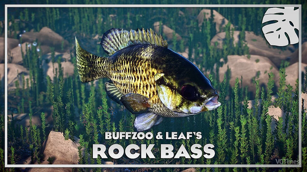 Planet Zoo — Rock bass - new types