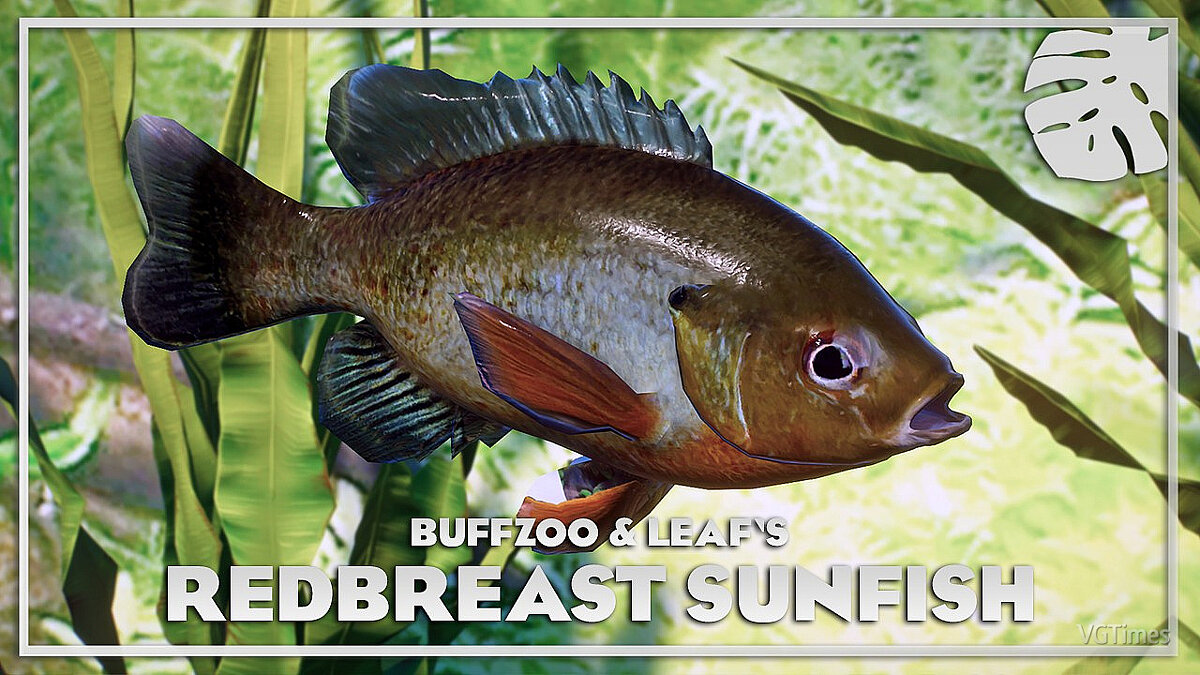 Planet Zoo — Redbreast sunfish - new species