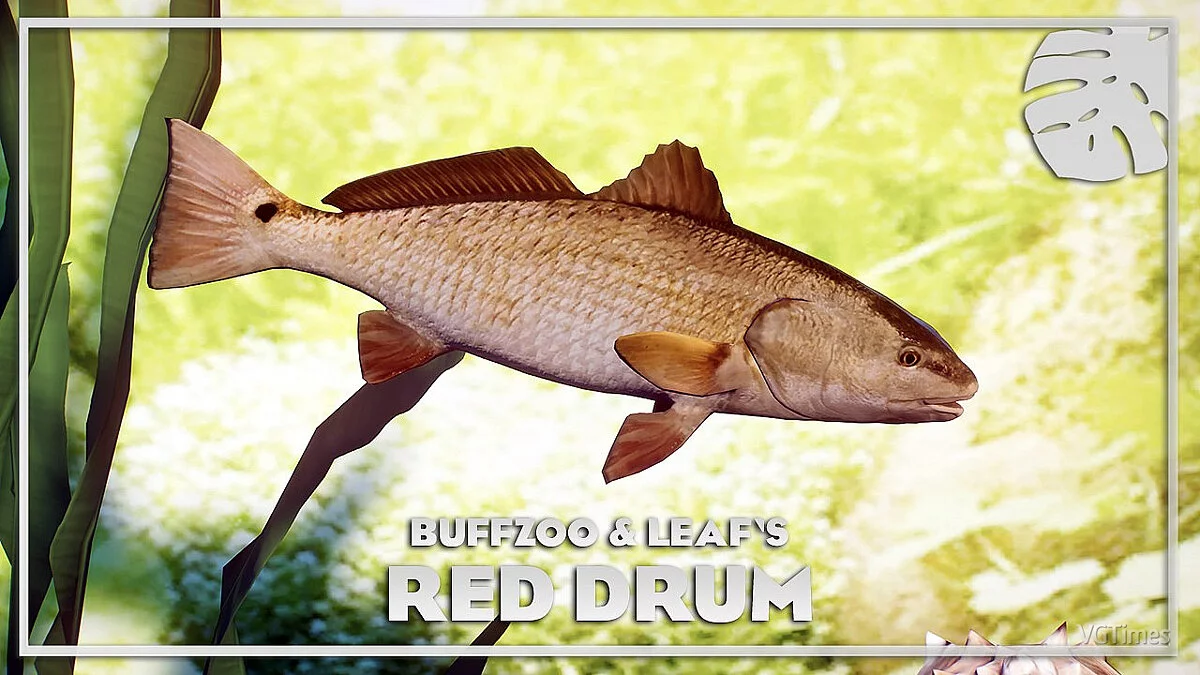 Planet Zoo — Red drum - new species