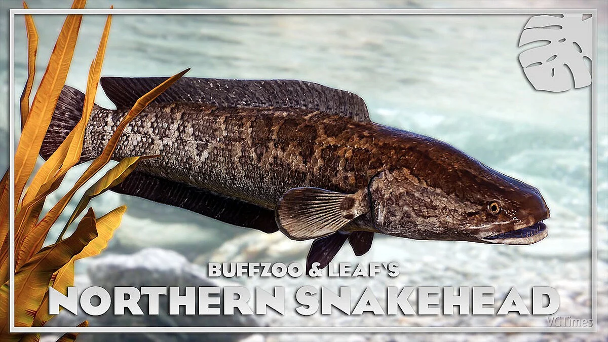 Planet Zoo — Northern snakehead - new species