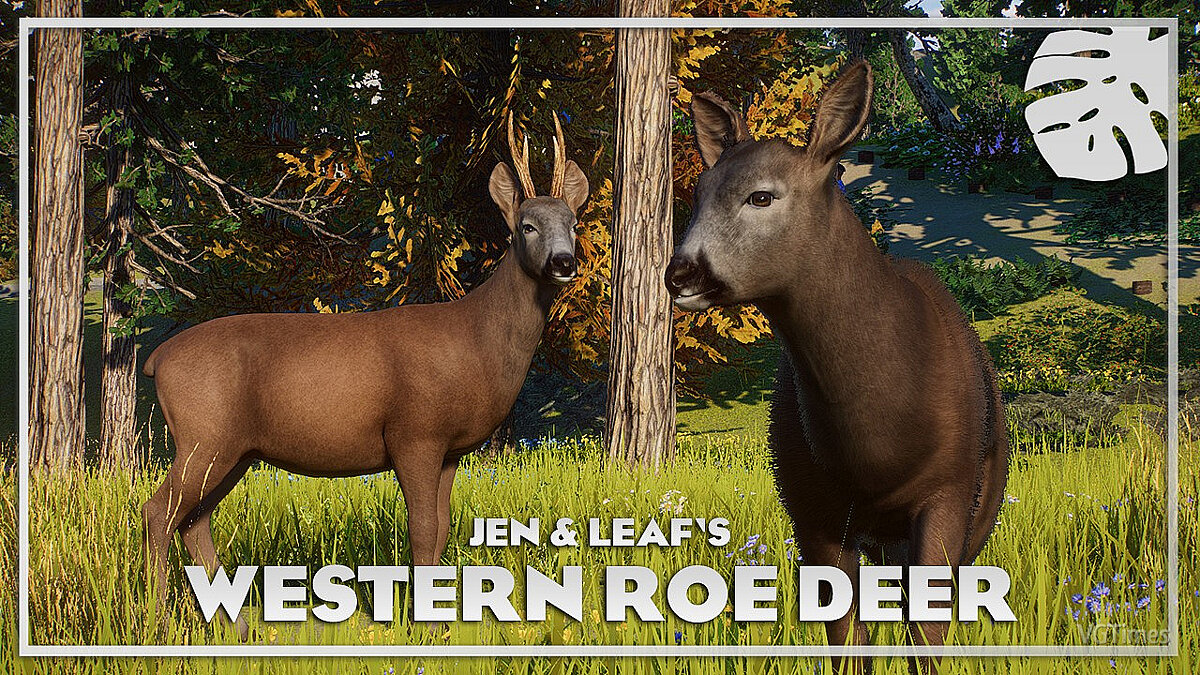 Planet Zoo — Western roe deer - new species