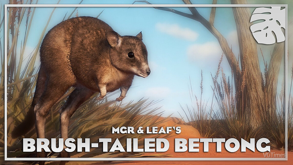 Planet Zoo — Brush-tailed bettonga - new species