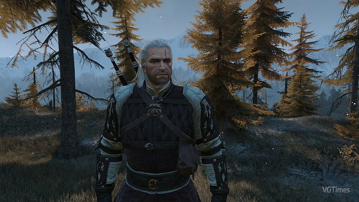 The Witcher 3: Wild Hunt - Complete Edition — Disabling hair physics (Next Gen)