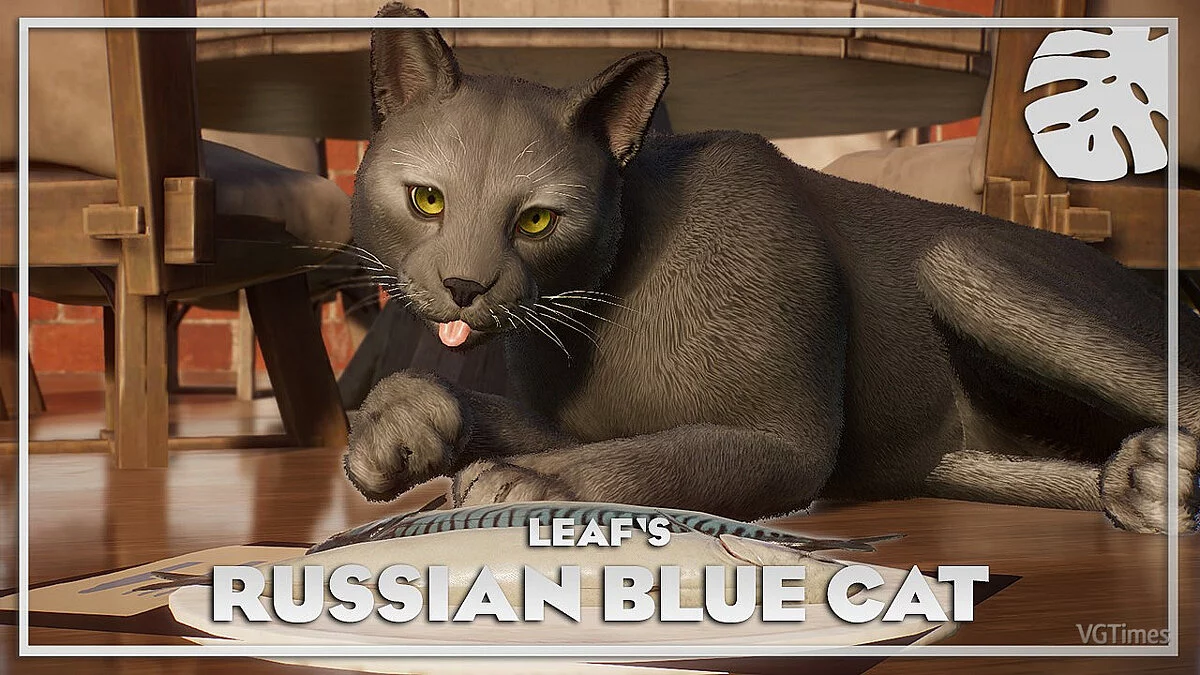 Planet Zoo — Домашняя кошка - русская голубая - новый вид