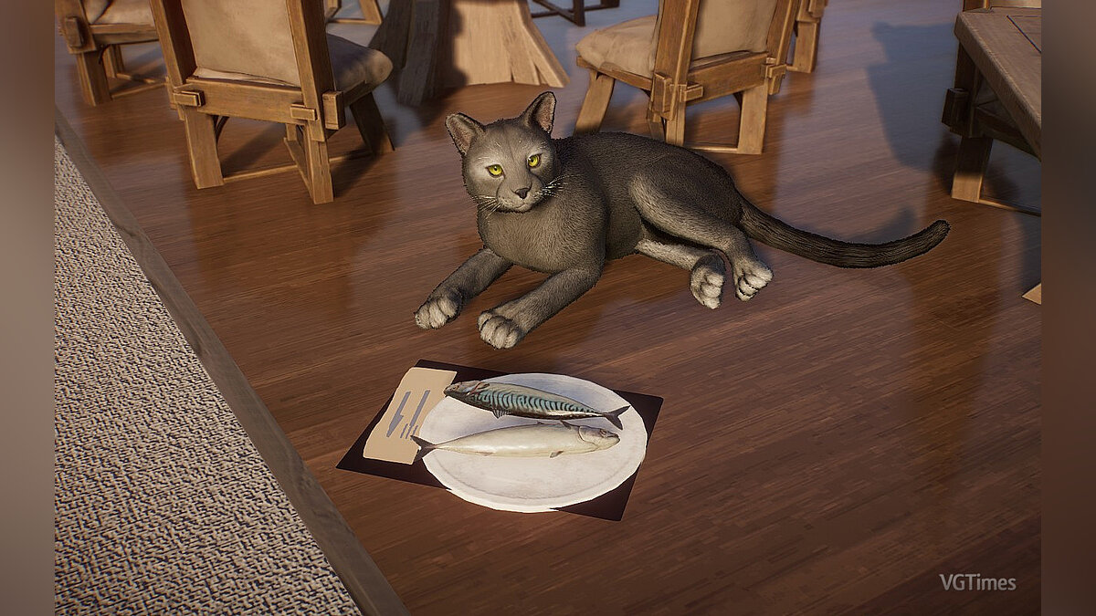 Planet Zoo — Domestic cat - Russian Blue - new species