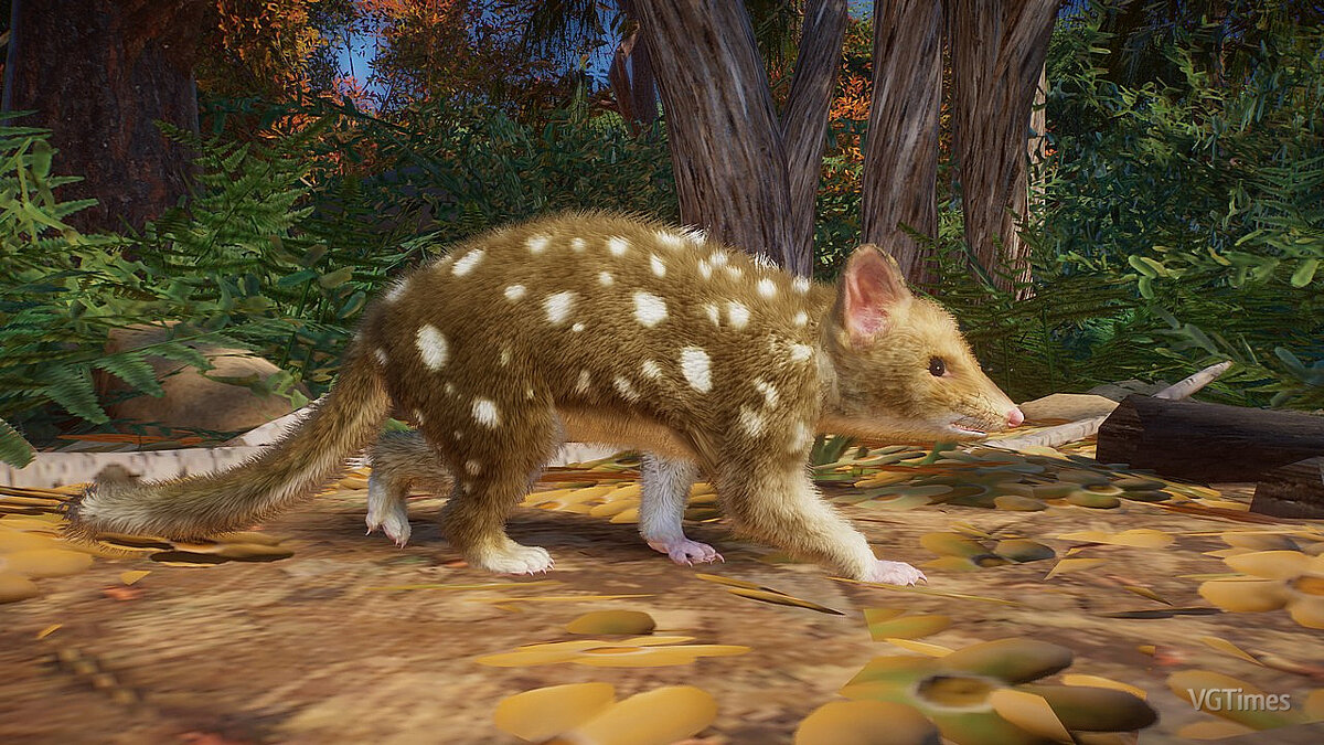 Planet Zoo — Eastern quoll - new species