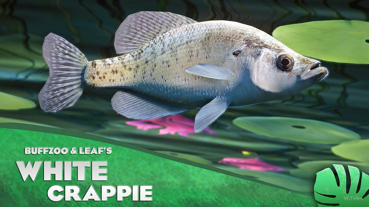 Planet Zoo — White crappie - new species