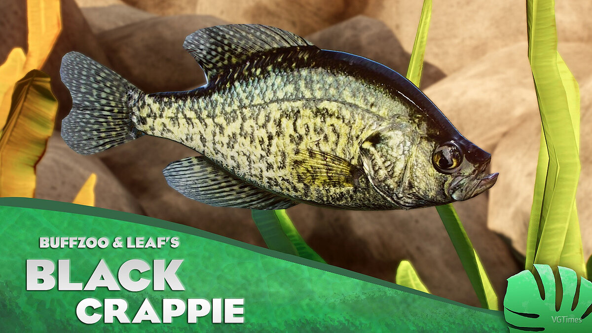 Planet Zoo — Black crappie - new species