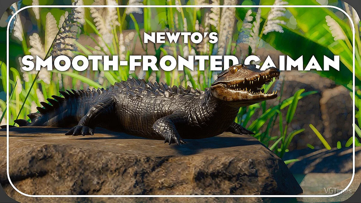 Planet Zoo — Caimán de frente lisa: una nueva especie