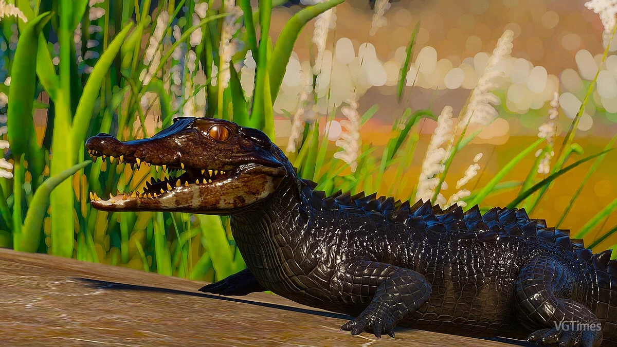 Planet Zoo — Гладколобый кайман - новый вид