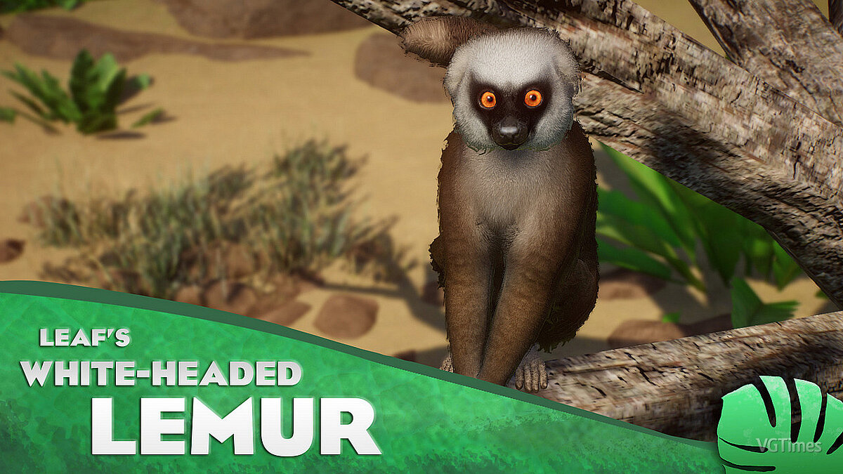 Planet Zoo — White-headed lemur - a new species