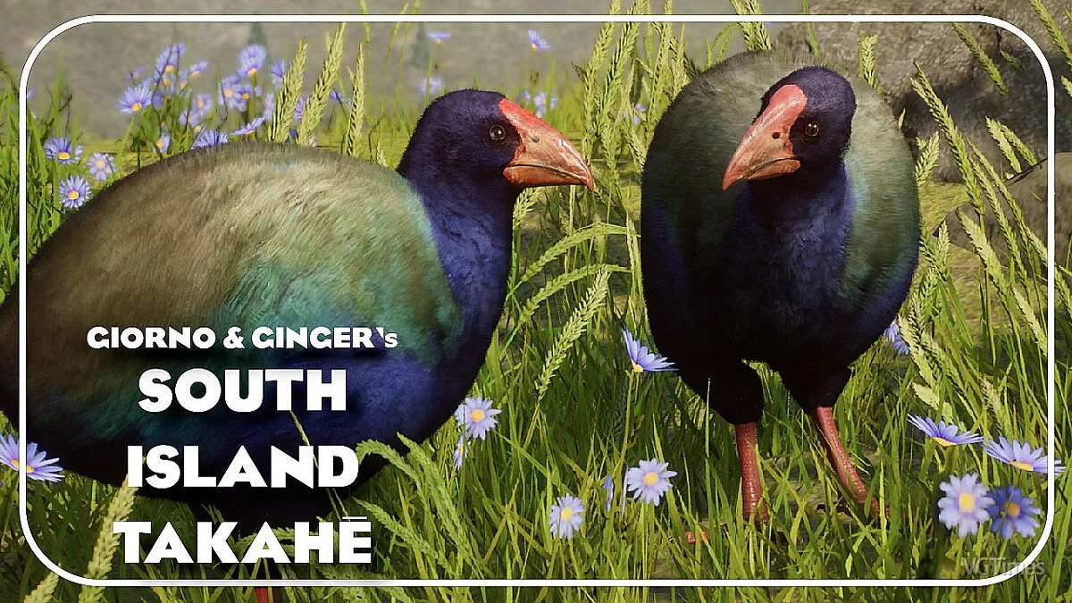 Planet Zoo — South Island takahe - a new species