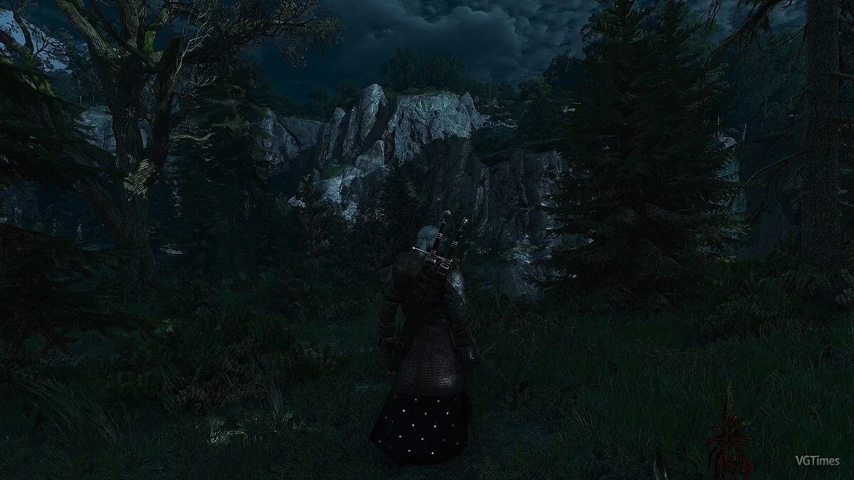 The Witcher 3: Wild Hunt - Complete Edition — Turning off artificial light